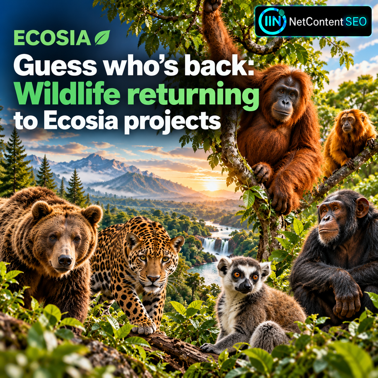Ecosia Shows Wildlife Returning to Reforestation Projects Across Five Countries